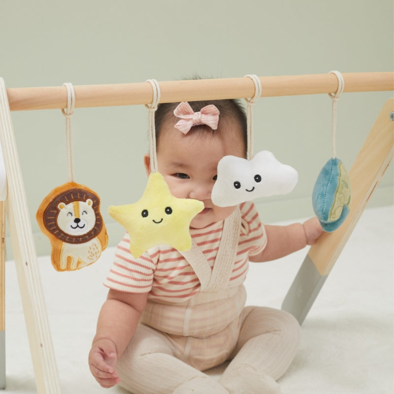 6-VIGA PolarB Pałąk Stojak dla Niemowląt Baby Gym-6